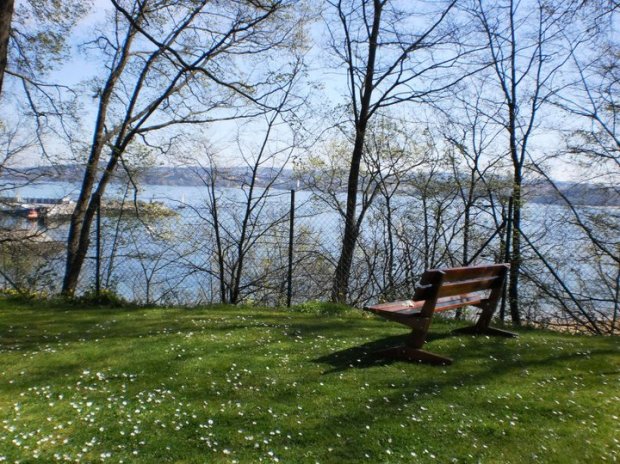 188584_160077057381917_2135542_n