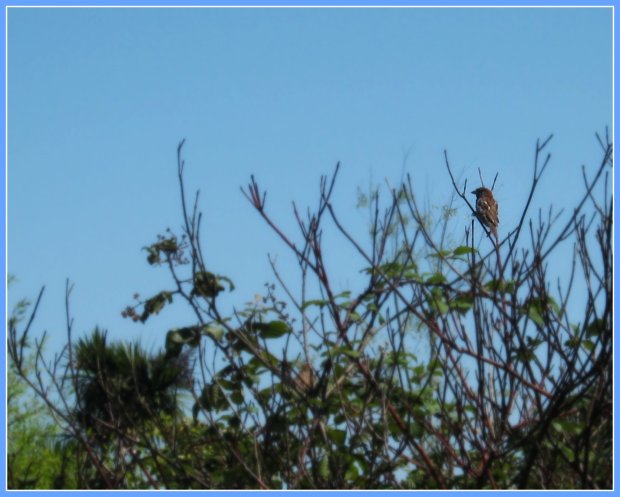 288945_206483782741244_2775520_o