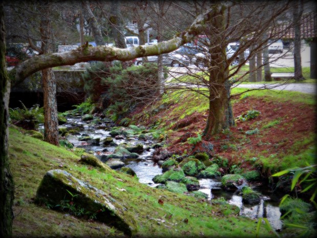 A orillas del Campus