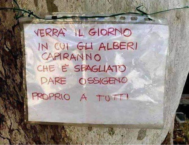 WhatsApp Image 2017-11-02 at 22.08.58