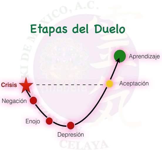 13077000_10154160711777806_1640851062334310133_n