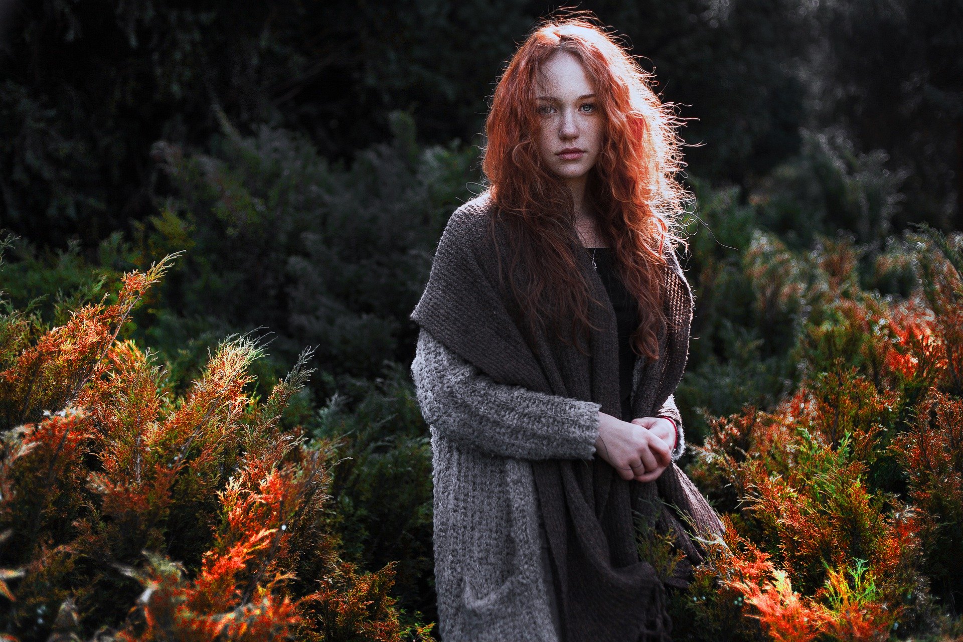 natural-4862354_1920