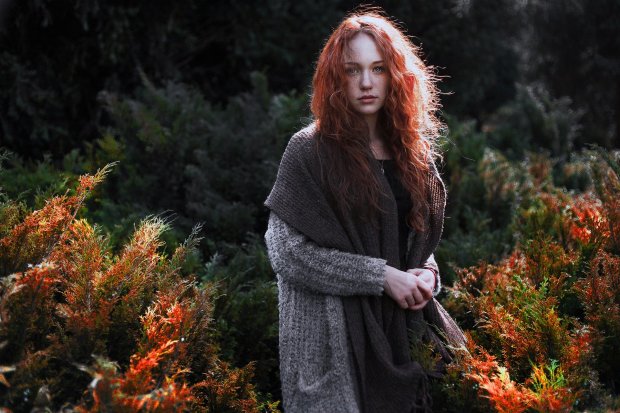 natural-4862354_1920