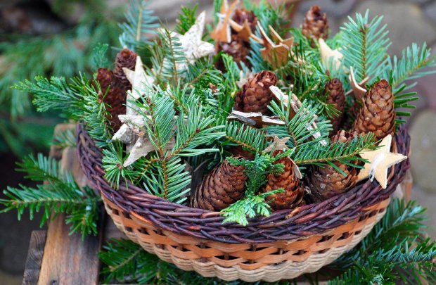 Navidad para cuidadores